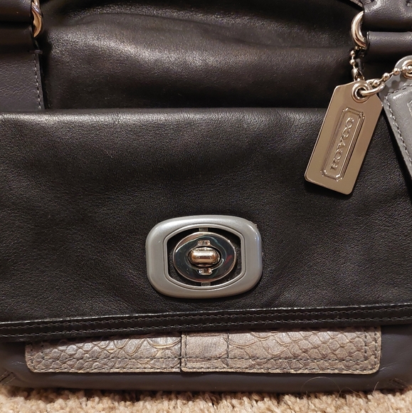 ❤️SALE! COACH Limited Edition Pinnacle Embossed Python Erin Convertible Satchel - Picture 8 of 16